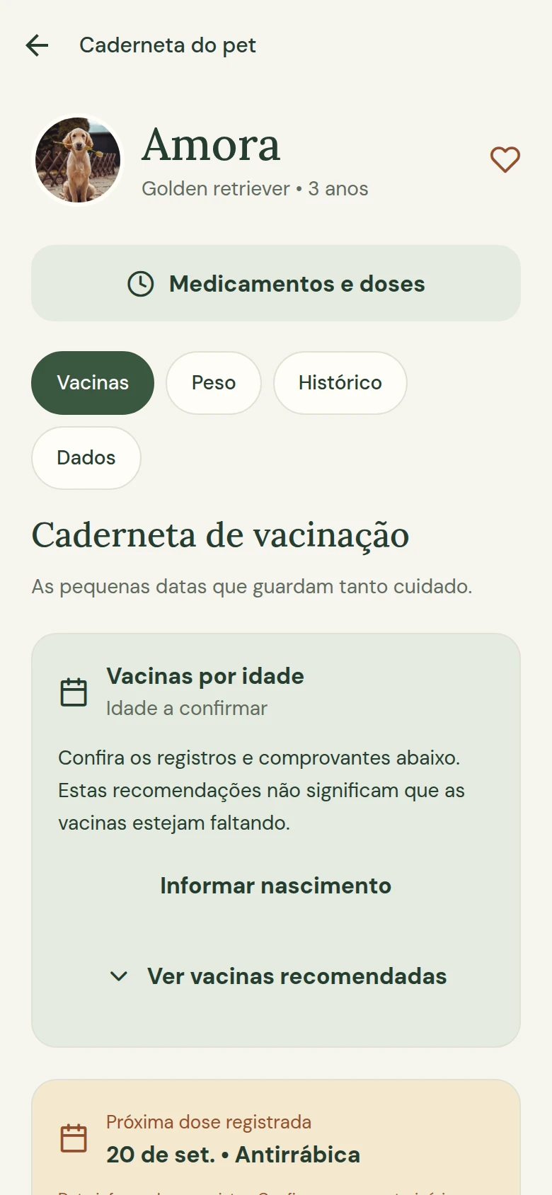 Tela real de demonstração da caderneta AnotaPet com registros de exemplo